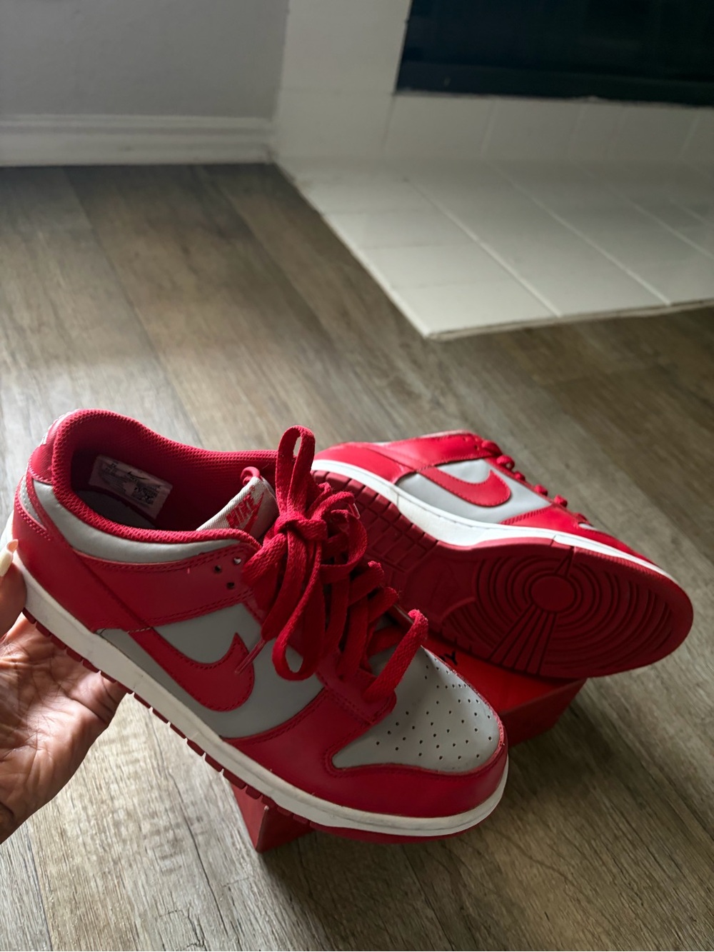 2021 "UNLV" nike dunks